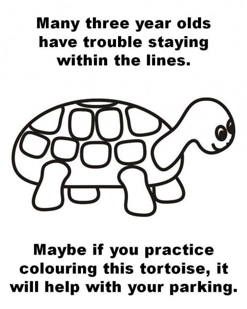 19905258_10154796313131238_5852681721226885584_n.jpg