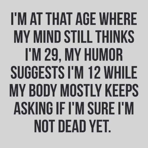 FB_IMG_1543658127303.jpg