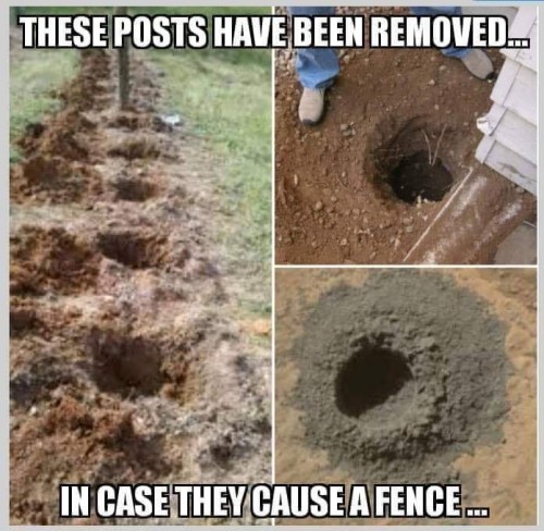 FB_IMG_1544602059192.jpg