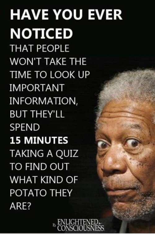 FB_IMG_1549094275941.jpg