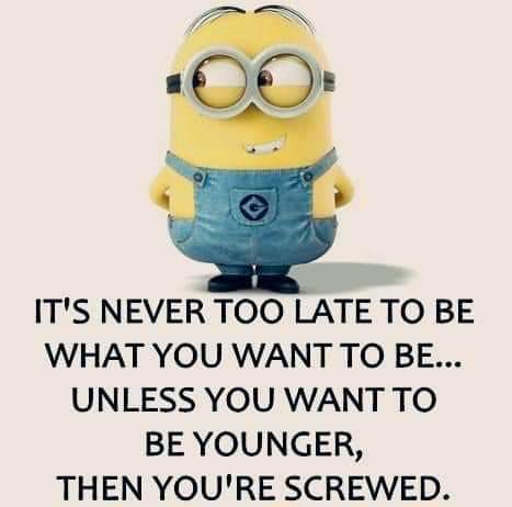 FB_IMG_1549616250256.jpg