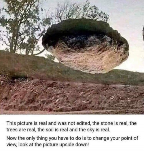 FB_IMG_1549616778130.jpg