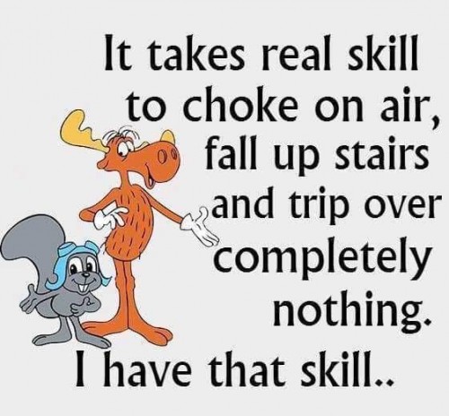 FB_IMG_1551512606784.jpg
