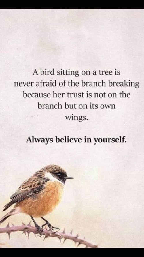 FB_IMG_1551646872622.jpg