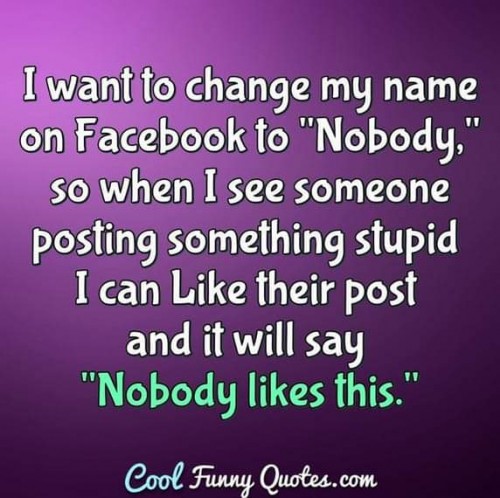 FB_IMG_1551993654717.jpg
