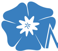 vivaldi_2019-03-27_202.png