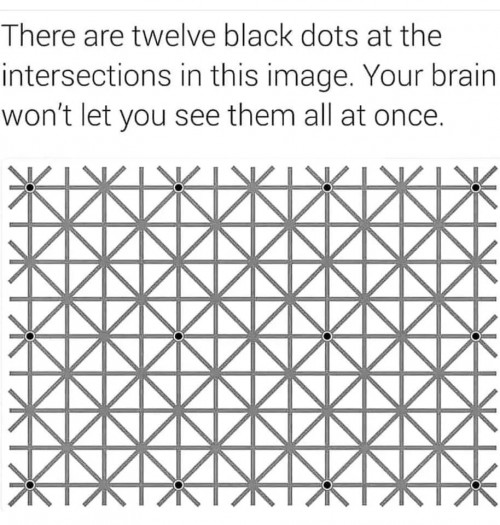 68951807_10162074468965273_7295885457093558272_n.jpg